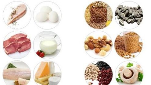 Foods rich in animal and plant protein can improve male potency
